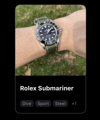 Horolog tags interface showing watch organization system
